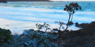 January skies and luxury self catering accommodation St Ives