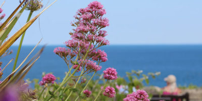 Autumn Luxury Accommodation in St Ives