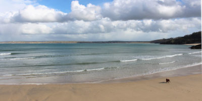 Luxury apartments in St Ives Beach