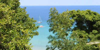 summer in st ives cottges