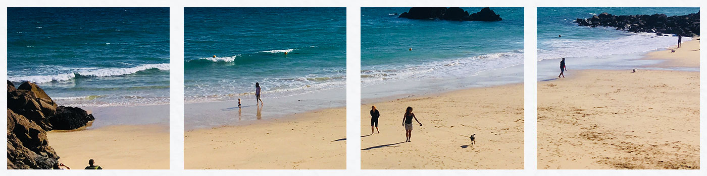 Dogs on St Ives Beach