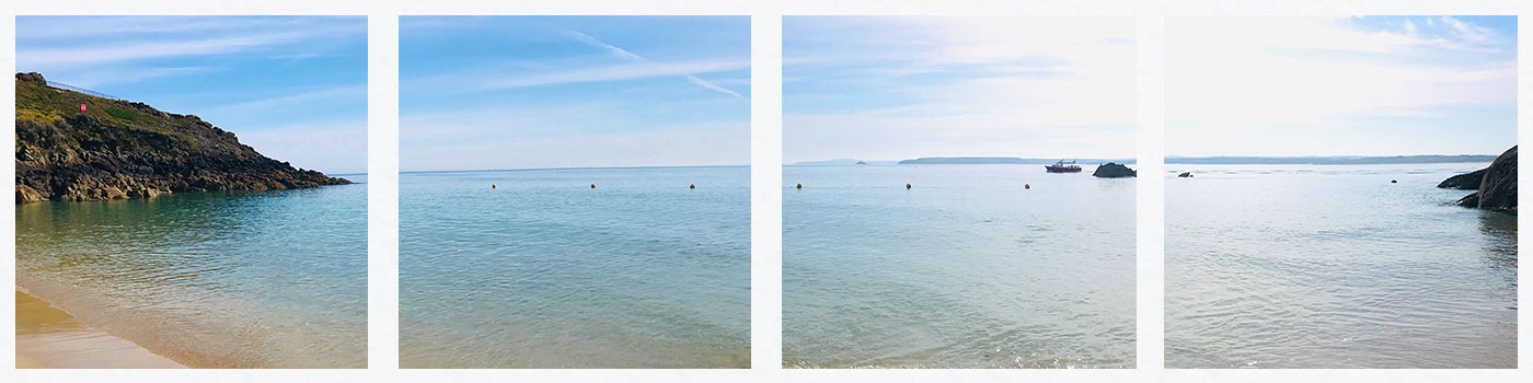 Dogs on St Ives Beach