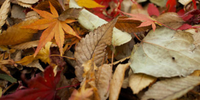 autumn in st ives cornwall