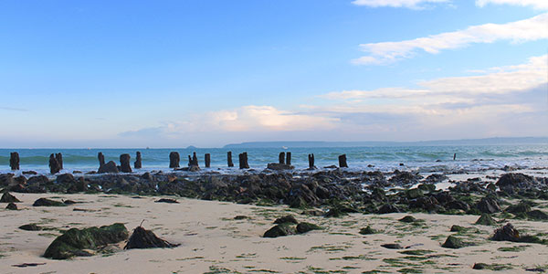 The Old Pier St Ives