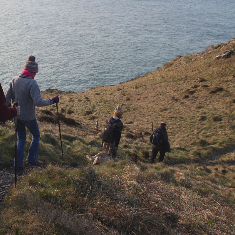 autumn walks in cornwall